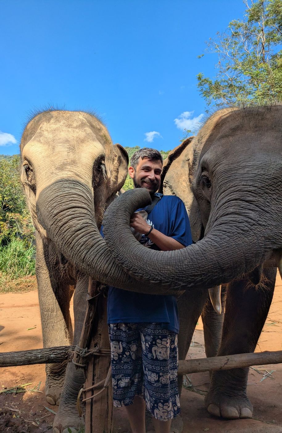 Liam smiling between two elephants at a sanctuary near Chiang Mai